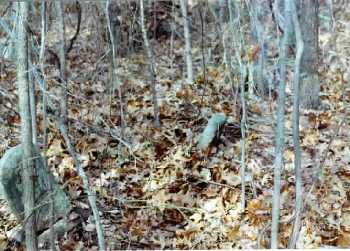 Area in Crescent Cemetery where Jane and Charles are buried