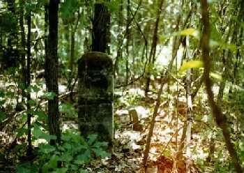 Grave of Jane (Wickliffe) Bodine